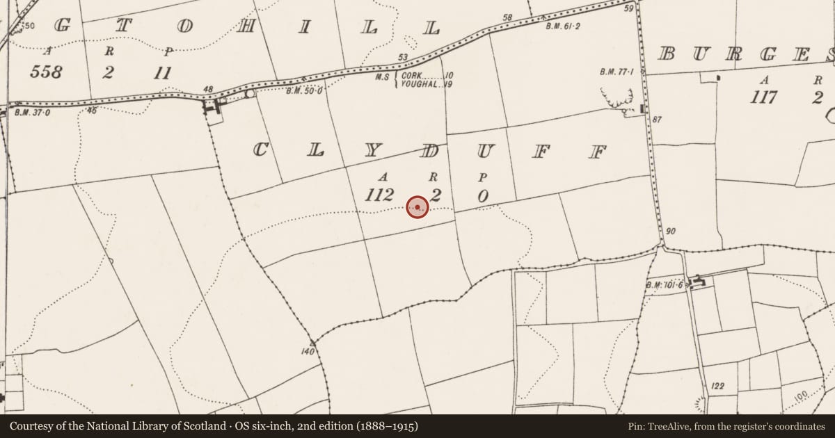 Ordnance Survey six-inch map, 2nd edition (1888–1915) covering the location of Prehistoric site - lithic scatter, Clyduff, County Cork, with a pin at the register's coordinates
