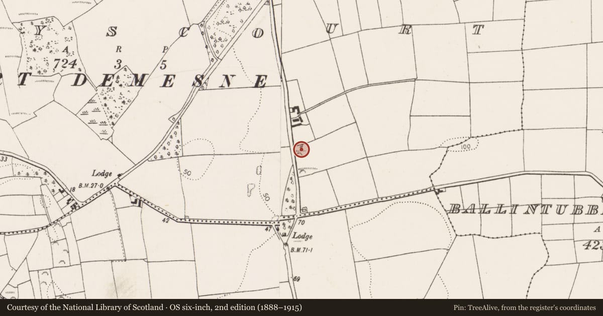Ordnance Survey six-inch map, 2nd edition (1888–1915) covering the location of Kiln - lime, Barryscourt, County Cork, with a pin at the register's coordinates