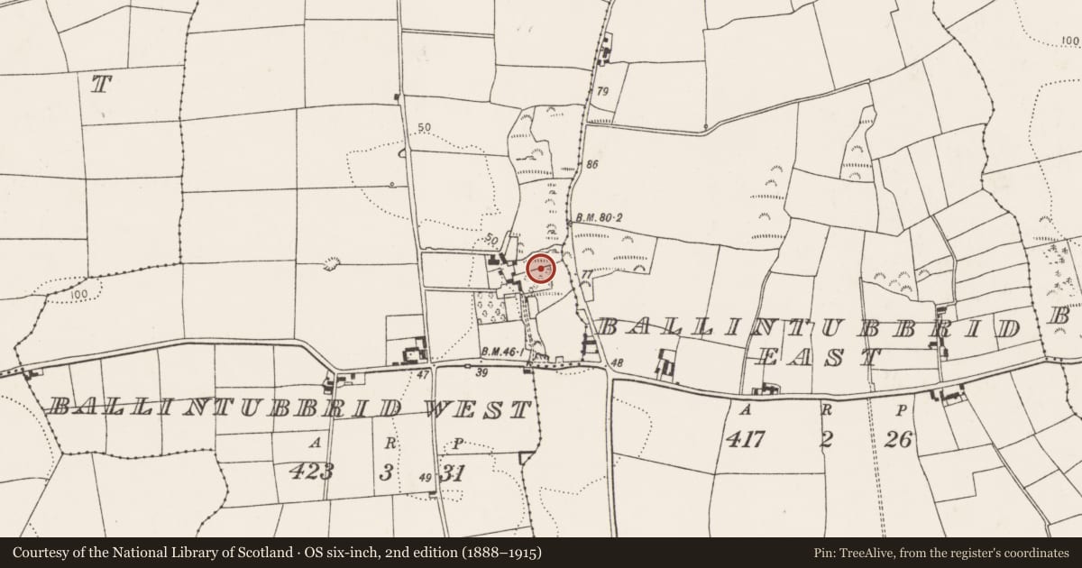 Ordnance Survey six-inch map, 2nd edition (1888–1915) covering the location of Enclosure, Ballintubbrid West, County Cork, with a pin at the register's coordinates