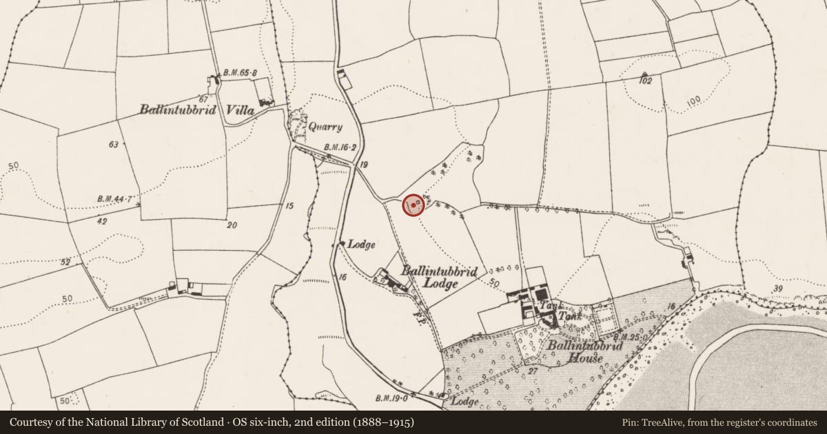 Ordnance Survey six-inch map, 2nd edition (1888–1915) covering the location of Kiln - lime, Ballintubbrid East, County Cork, with a pin at the register's coordinates