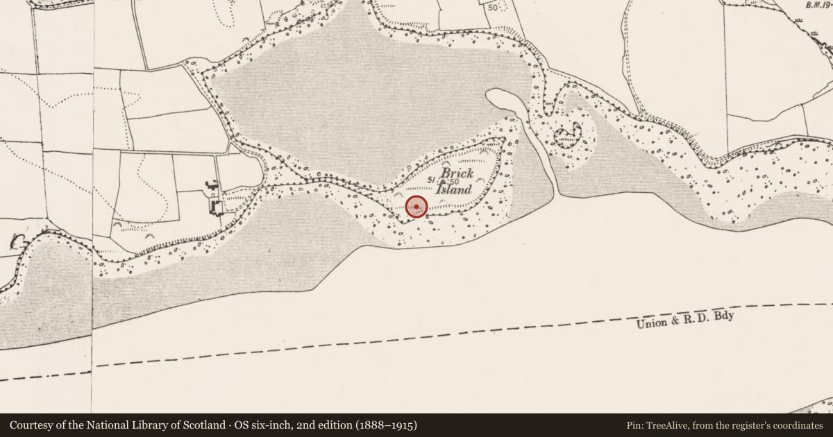 Ordnance Survey six-inch map, 2nd edition (1888–1915) covering the location of Midden, Rossmore, County Cork, with a pin at the register's coordinates
