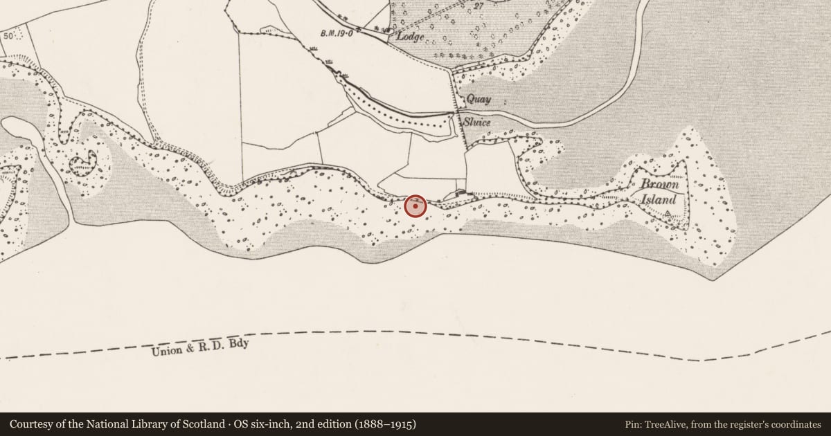 Ordnance Survey six-inch map, 2nd edition (1888–1915) covering the location of Midden, Ballintubbrid West, County Cork, with a pin at the register's coordinates