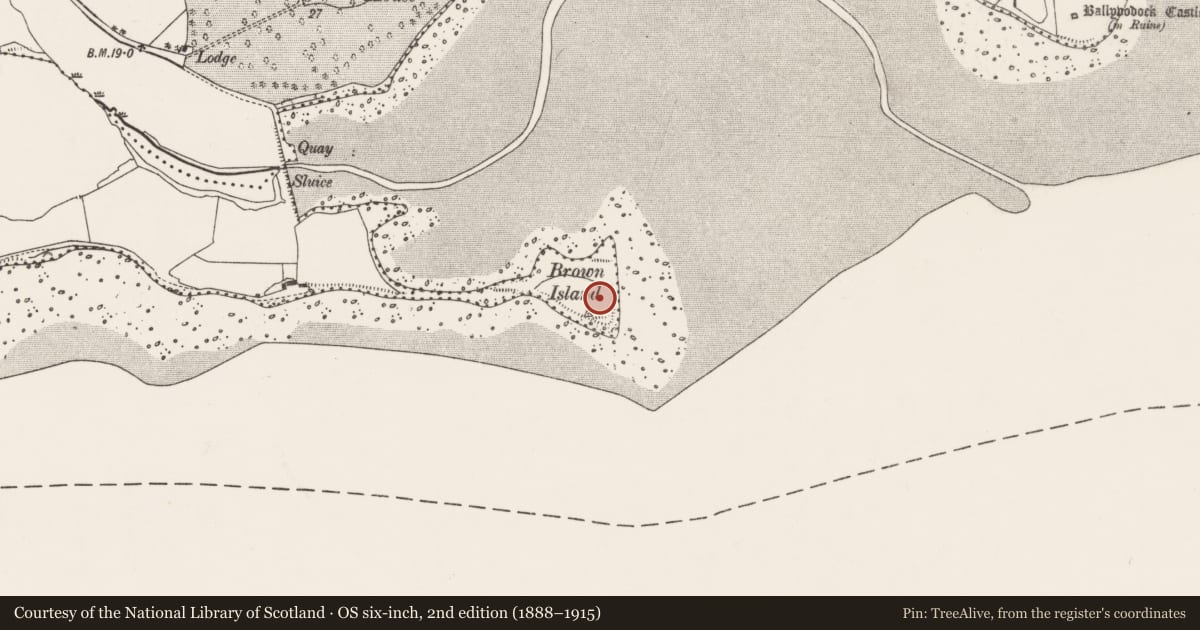 Ordnance Survey six-inch map, 2nd edition (1888–1915) covering the location of Midden, Ballintubbrid West, County Cork, with a pin at the register's coordinates