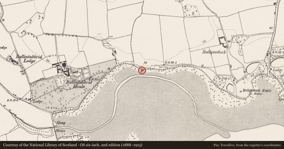 Ordnance Survey six-inch map, 2nd edition (1888–1915) covering the location of Midden, Ballyvodock West, County Cork, with a pin at the register's coordinates