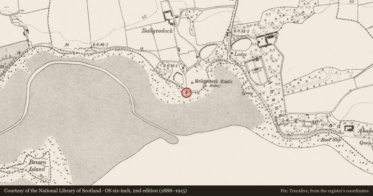 Ordnance Survey six-inch map, 2nd edition (1888–1915) covering the location of Midden, Ballyvodock West, County Cork, with a pin at the register's coordinates