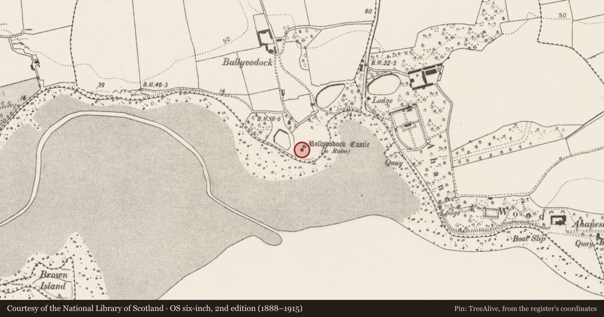 Ordnance Survey six-inch map, 2nd edition (1888–1915) covering the location of Castle - tower house, Ballyvodock West, County Cork, with a pin at the register's coordinates