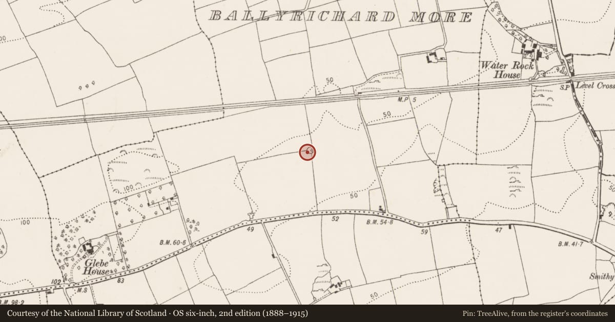Ordnance Survey six-inch map, 2nd edition (1888–1915) covering the location of Designed landscape - tree-ring, Ballyrichard More, County Cork, with a pin at the register's coordinates