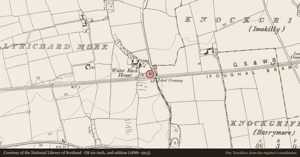 Ordnance Survey six-inch map, 2nd edition (1888–1915) covering the location of Kiln - lime, Water-Rock, County Cork, with a pin at the register's coordinates