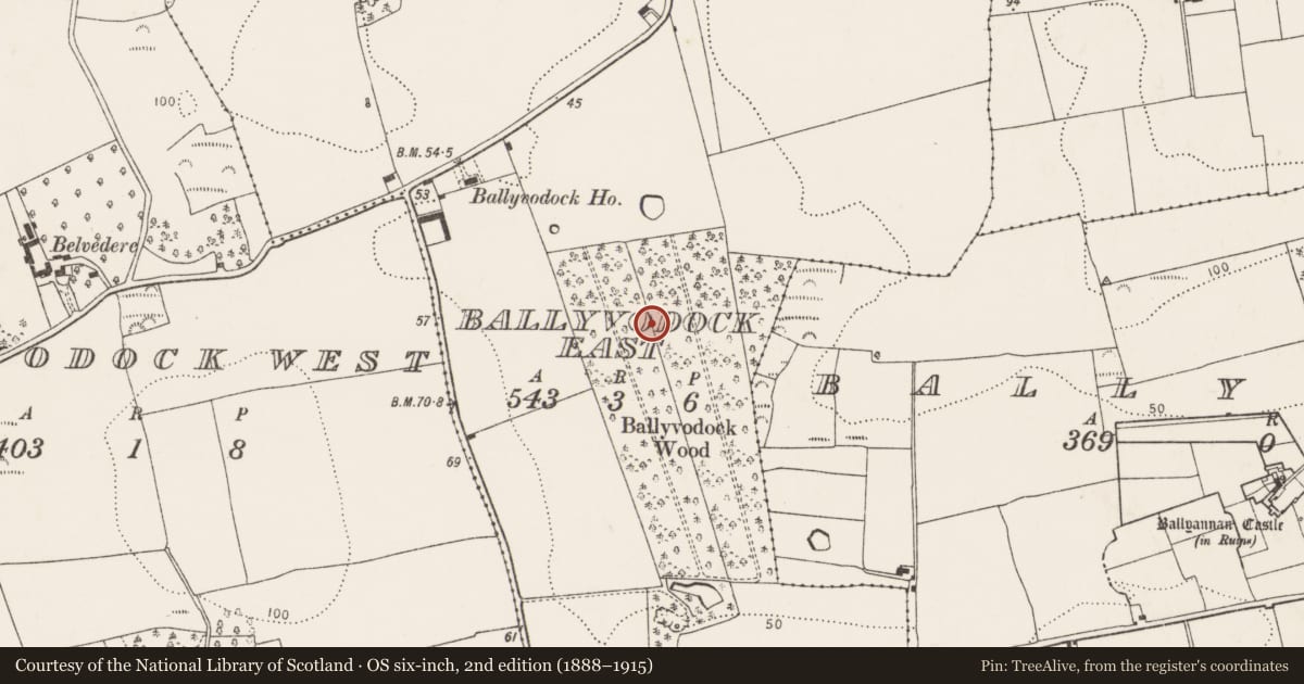Ordnance Survey six-inch map, 2nd edition (1888–1915) covering the location of Ringfort - rath, Ballyvodock East, County Cork, with a pin at the register's coordinates