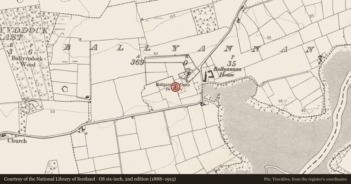 Ordnance Survey six-inch map, 2nd edition (1888–1915) covering the location of Walled garden, Ballyannan, County Cork, with a pin at the register's coordinates