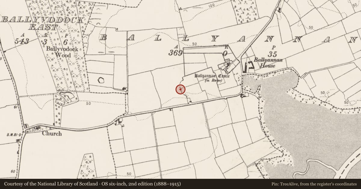 Ordnance Survey six-inch map, 2nd edition (1888–1915) covering the location of Gateway, Ballyannan, County Cork, with a pin at the register's coordinates