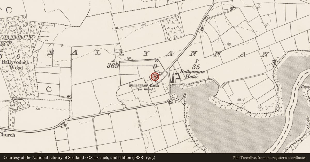 Ordnance Survey six-inch map, 2nd edition (1888–1915) covering the location of House - fortified house, Ballyannan, County Cork, with a pin at the register's coordinates