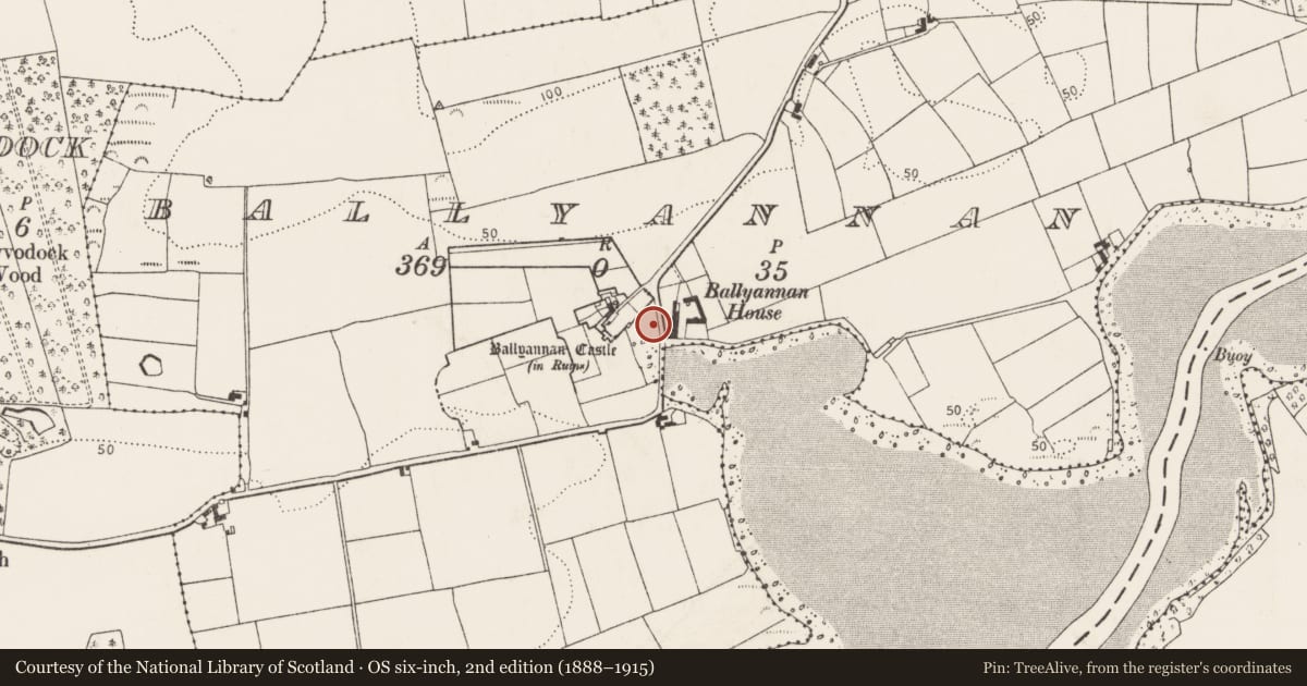 Ordnance Survey six-inch map, 2nd edition (1888–1915) covering the location of Graveyard, Ballyannan, County Cork, with a pin at the register's coordinates