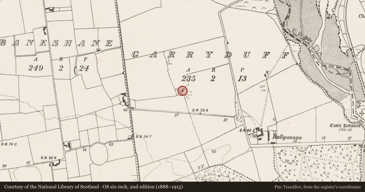 Ordnance Survey six-inch map, 2nd edition (1888–1915) covering the location of Kiln - lime, Garryduff, County Cork, with a pin at the register's coordinates