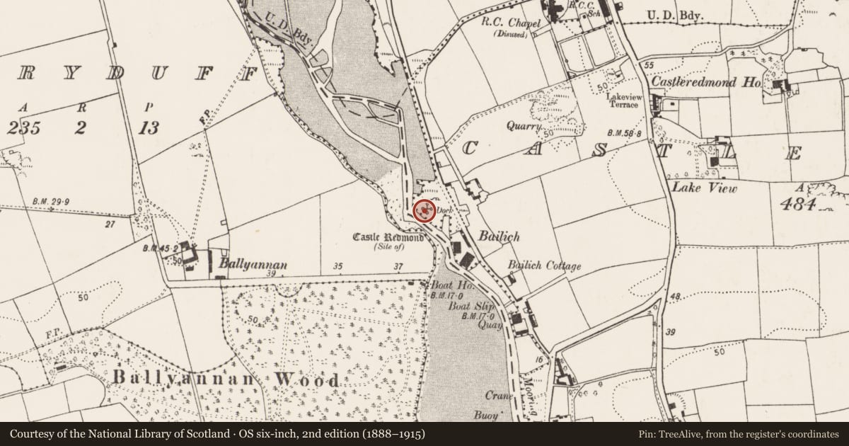 Ordnance Survey six-inch map, 2nd edition (1888–1915) covering the location of Castle - unclassified, Castleredmond, County Cork, with a pin at the register's coordinates