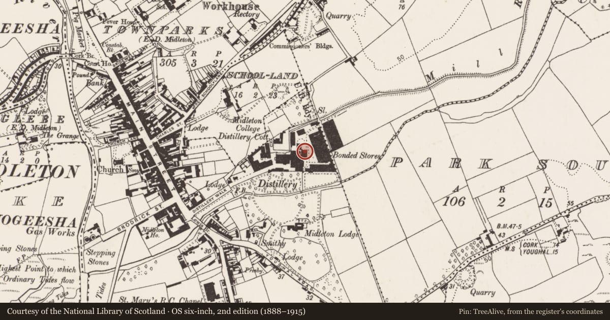 Ordnance Survey six-inch map, 2nd edition (1888–1915) covering the location of Distillery, Townparks (Imokilly By., Middleton Par.), County Cork, with a pin at the register's coordinates
