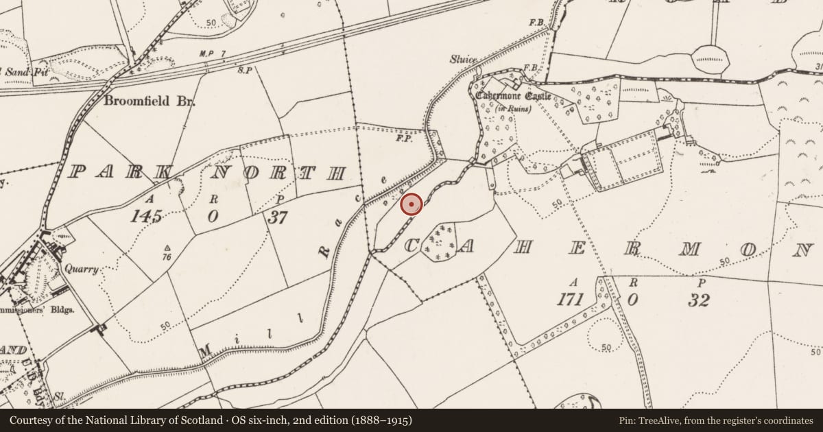 Ordnance Survey six-inch map, 2nd edition (1888–1915) covering the location of Fulacht fia, Killeagh, County Cork, with a pin at the register's coordinates