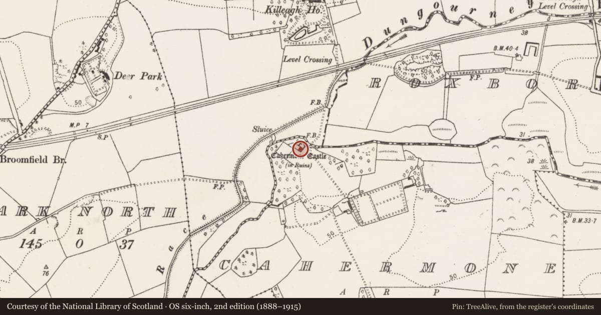 Ordnance Survey six-inch map, 2nd edition (1888–1915) covering the location of Castle - tower house, Cahermone, County Cork, with a pin at the register's coordinates