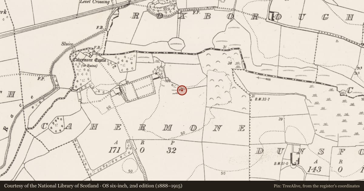 Ordnance Survey six-inch map, 2nd edition (1888–1915) covering the location of Kiln - lime, Cahermone, County Cork, with a pin at the register's coordinates