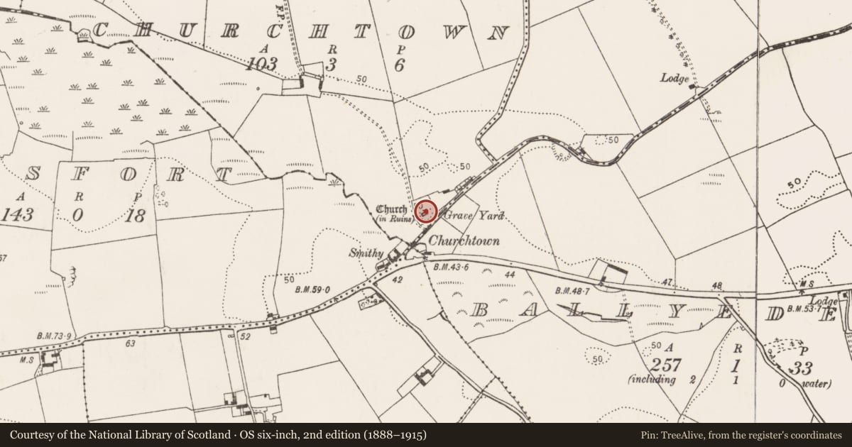 Ordnance Survey six-inch map, 2nd edition (1888–1915) covering the location of Graveyard, Churchtown, County Cork, with a pin at the register's coordinates