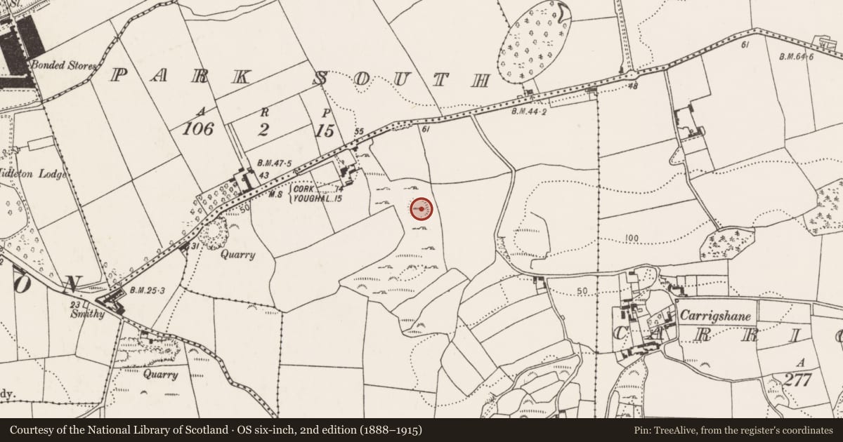 Ordnance Survey six-inch map, 2nd edition (1888–1915) covering the location of Ringfort - rath, Castleredmond, County Cork, with a pin at the register's coordinates