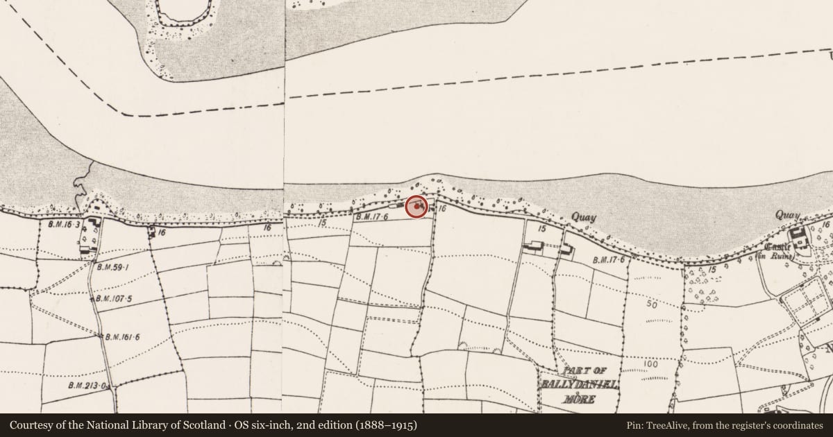 Ordnance Survey six-inch map, 2nd edition (1888–1915) covering the location of Midden, Currabally, County Cork, with a pin at the register's coordinates