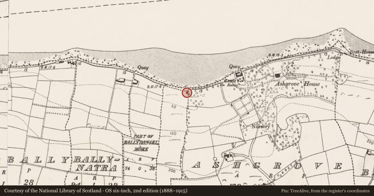 Ordnance Survey six-inch map, 2nd edition (1888–1915) covering the location of Midden, Ashgrove, Currabally, County Cork, with a pin at the register's coordinates