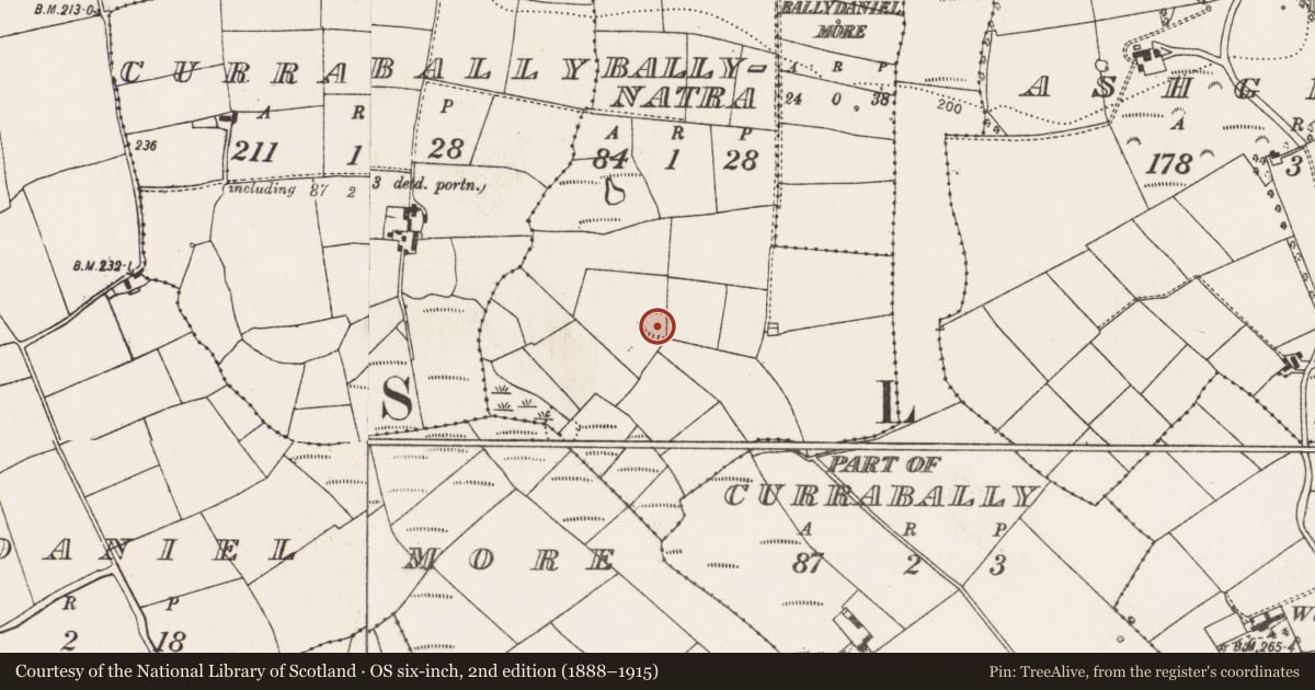 Ordnance Survey six-inch map, 2nd edition (1888–1915) covering the location of Ringfort - rath, Ballynatra, County Cork, with a pin at the register's coordinates