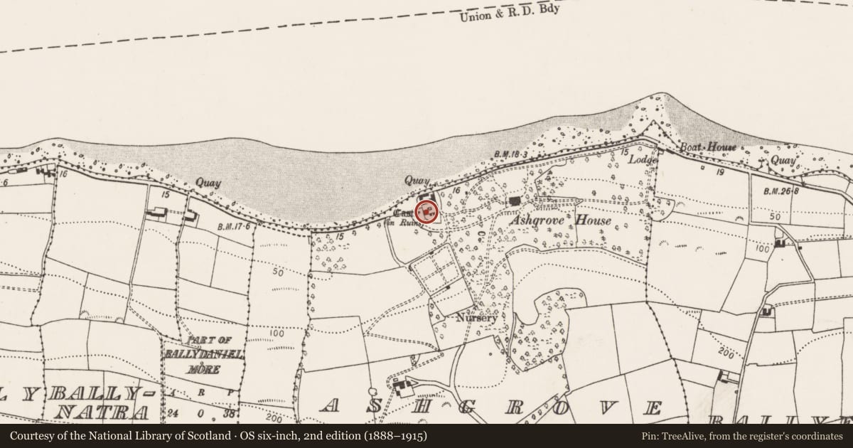 Ordnance Survey six-inch map, 2nd edition (1888–1915) covering the location of Castle - tower house, Ashgrove, County Cork, with a pin at the register's coordinates