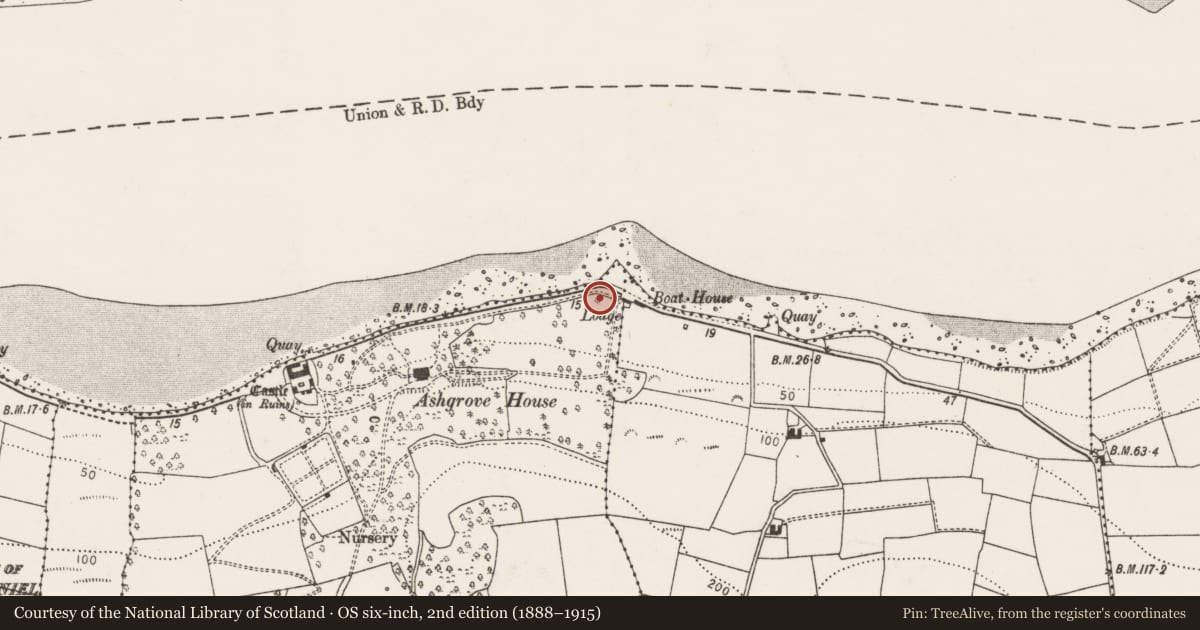 Ordnance Survey six-inch map, 2nd edition (1888–1915) covering the location of Midden, Ashgrove, Ballyellane, County Cork, with a pin at the register's coordinates