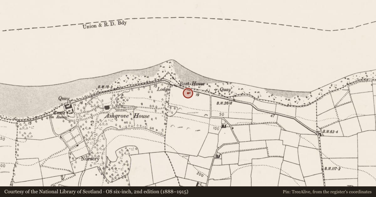 Ordnance Survey six-inch map, 2nd edition (1888–1915) covering the location of Kiln - lime, Ballyellane, County Cork, with a pin at the register's coordinates