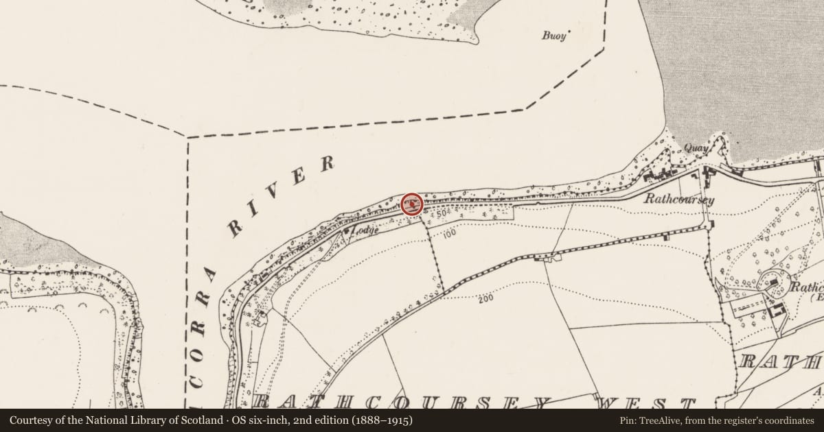 Ordnance Survey six-inch map, 2nd edition (1888–1915) covering the location of Midden, Rathcoursey East, County Cork, with a pin at the register's coordinates