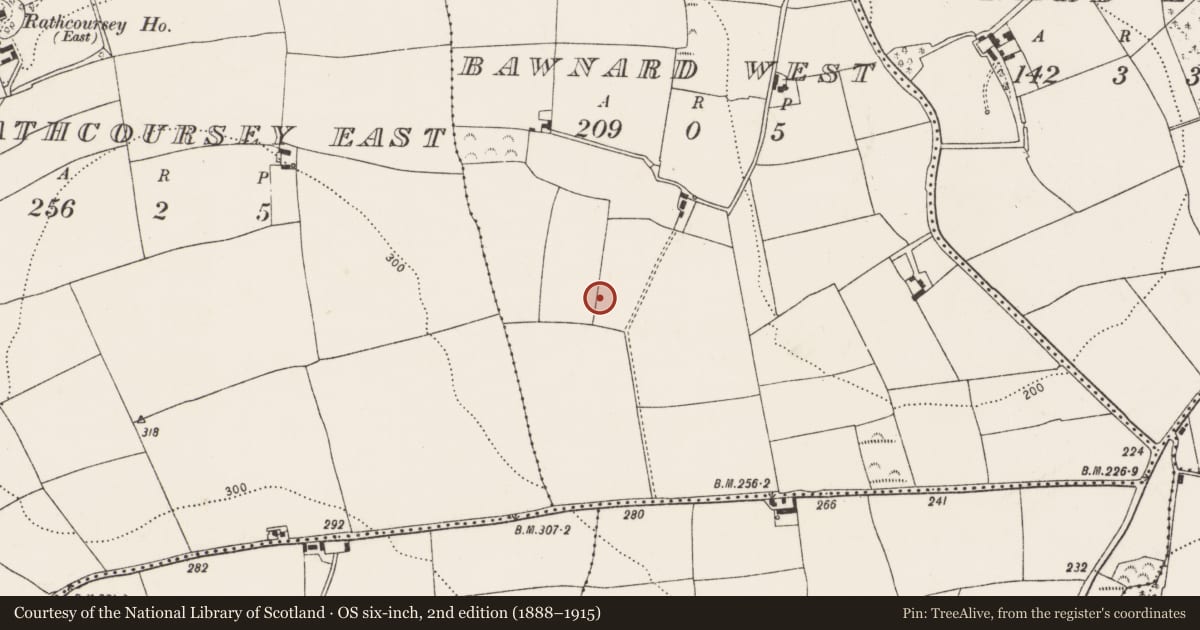 Ordnance Survey six-inch map, 2nd edition (1888–1915) covering the location of Fulacht fia, Bawnard West, County Cork, with a pin at the register's coordinates
