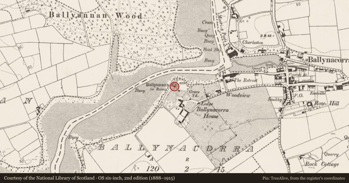 Ordnance Survey six-inch map, 2nd edition (1888–1915) covering the location of Mound, Ballynacorra, County Cork, with a pin at the register's coordinates
