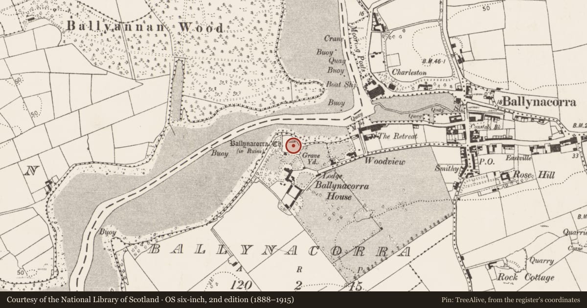 Ordnance Survey six-inch map, 2nd edition (1888–1915) covering the location of Graveyard, Ballynacorra, County Cork, with a pin at the register's coordinates