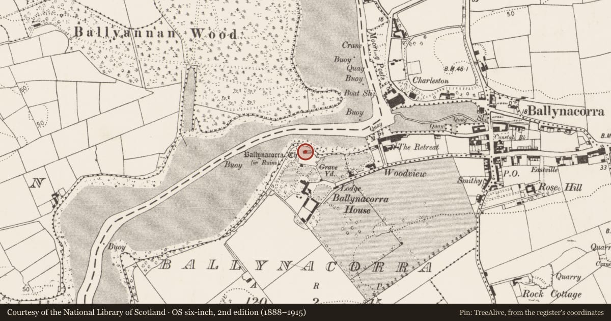 Ordnance Survey six-inch map, 2nd edition (1888–1915) covering the location of Church, Ballynacorra, County Cork, with a pin at the register's coordinates