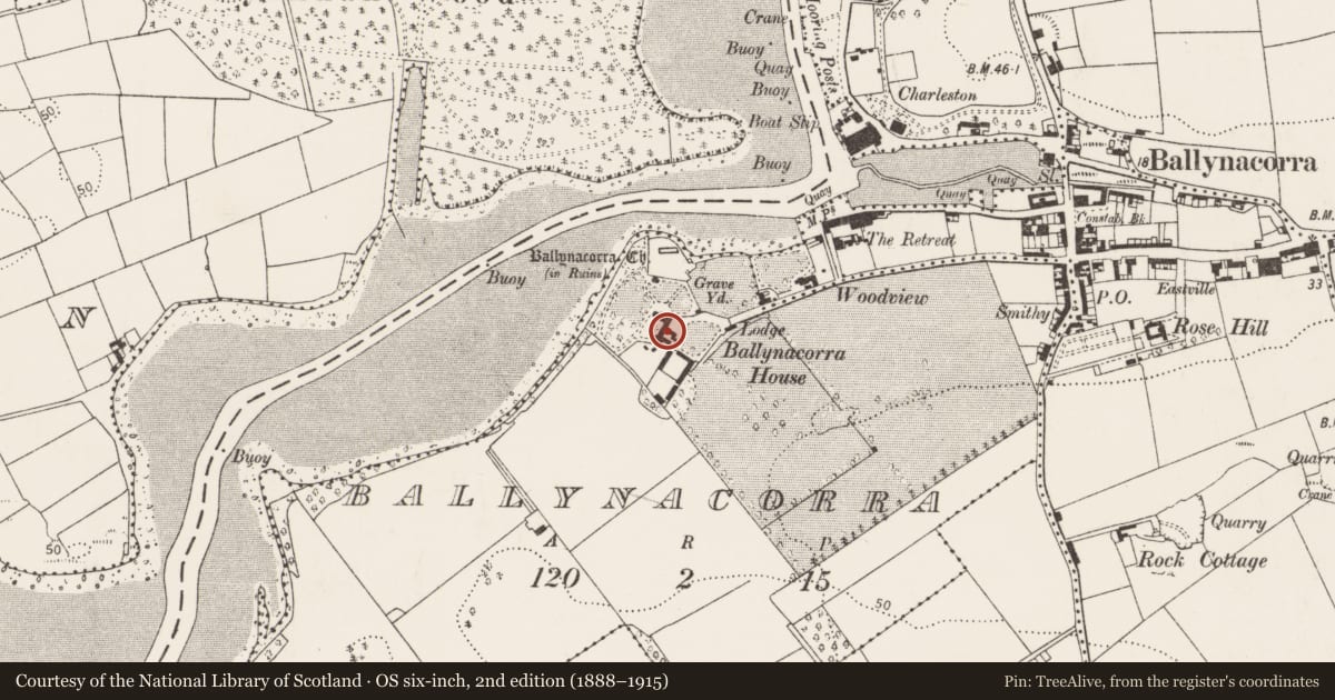 Ordnance Survey six-inch map, 2nd edition (1888–1915) covering the location of Country house, Ballynacorra, County Cork, with a pin at the register's coordinates