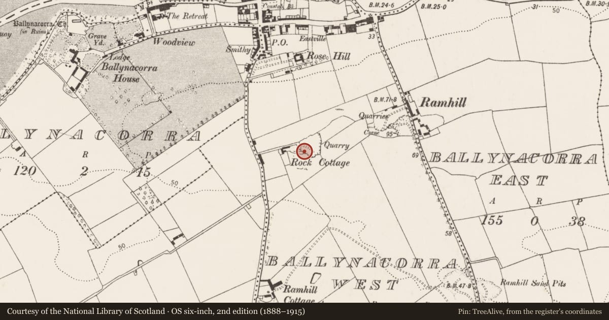 Ordnance Survey six-inch map, 2nd edition (1888–1915) covering the location of Kiln - lime, Ballynacorra West, County Cork, with a pin at the register's coordinates
