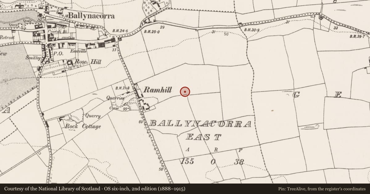 Ordnance Survey six-inch map, 2nd edition (1888–1915) covering the location of Souterrain, Ballynacorra East, County Cork, with a pin at the register's coordinates