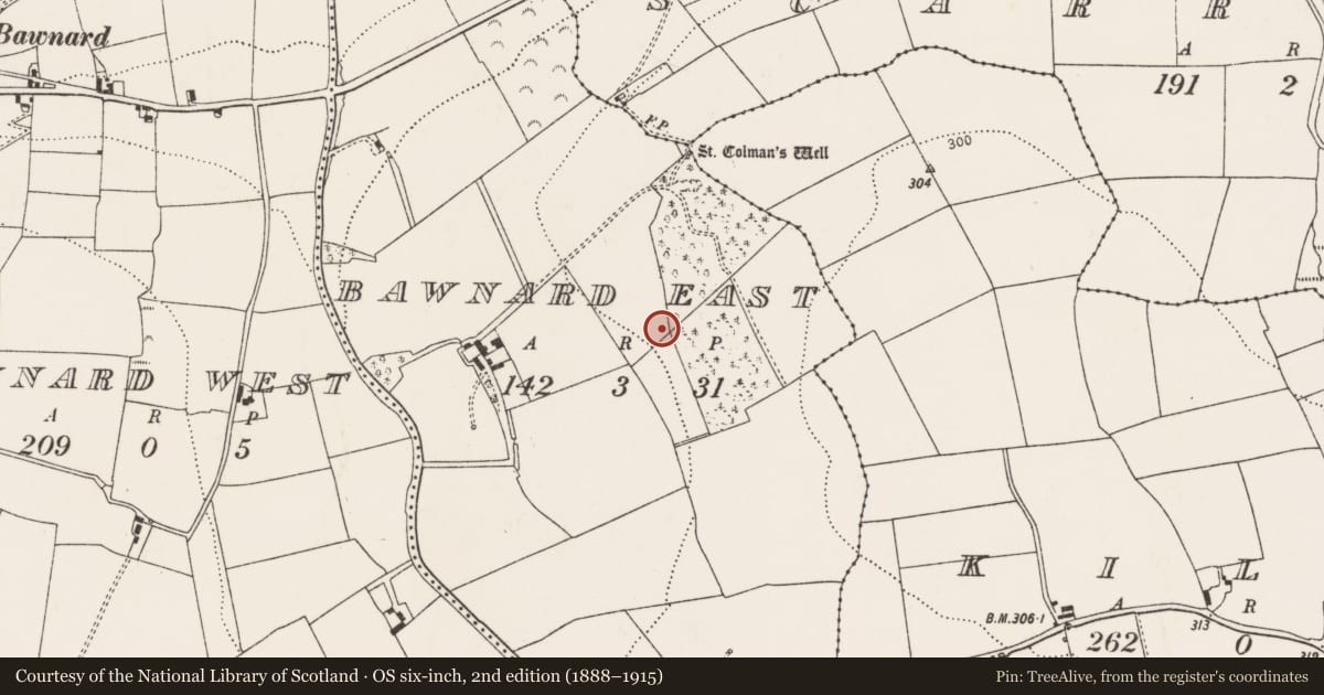 Ordnance Survey six-inch map, 2nd edition (1888–1915) covering the location of Fulacht fia, Bawnard East, County Cork, with a pin at the register's coordinates