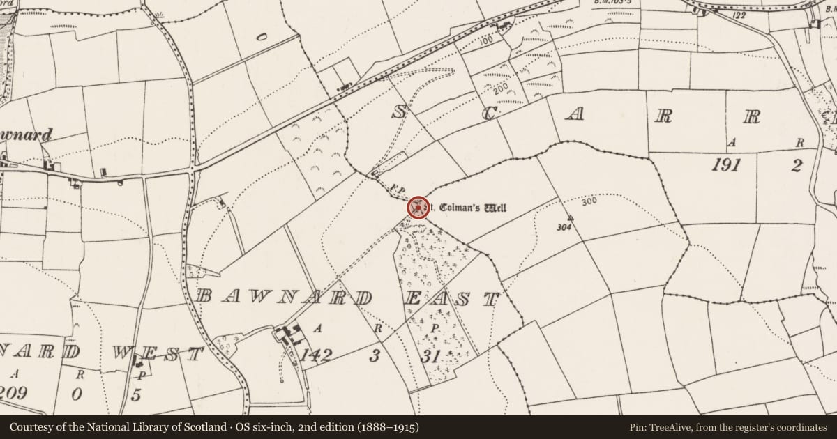 Ordnance Survey six-inch map, 2nd edition (1888–1915) covering the location of Bullaun stone, Bawnard East, County Cork, with a pin at the register's coordinates
