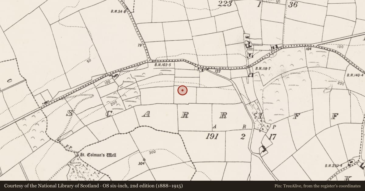 Ordnance Survey six-inch map, 2nd edition (1888–1915) covering the location of Enclosure, Scarriff, County Cork, with a pin at the register's coordinates