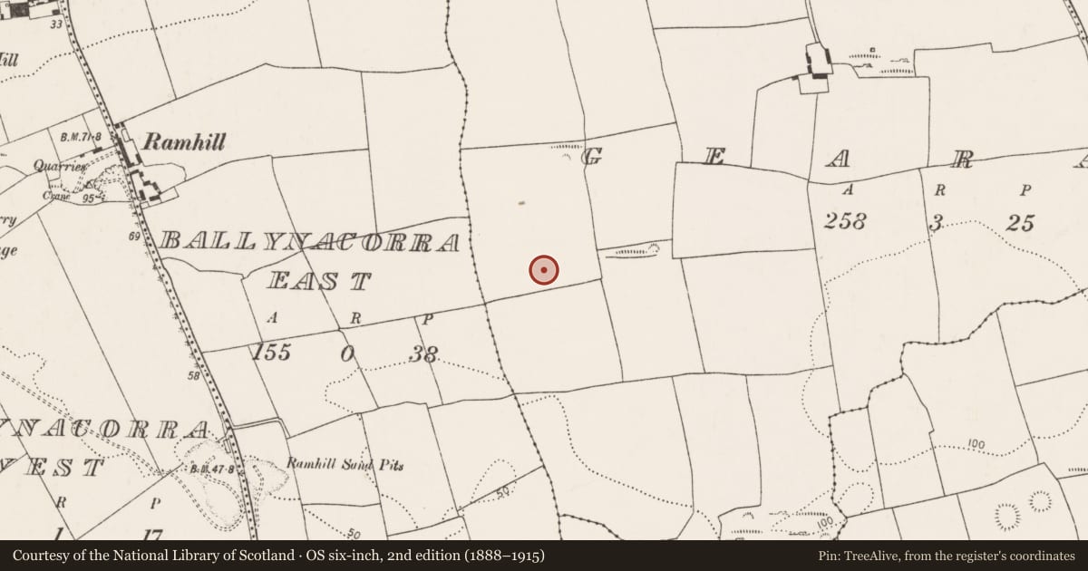 Ordnance Survey six-inch map, 2nd edition (1888–1915) covering the location of Standing stone, Gearagh, County Cork, with a pin at the register's coordinates
