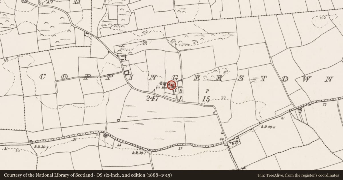 Ordnance Survey six-inch map, 2nd edition (1888–1915) covering the location of Castle - tower house, Coppingerstown, County Cork, with a pin at the register's coordinates