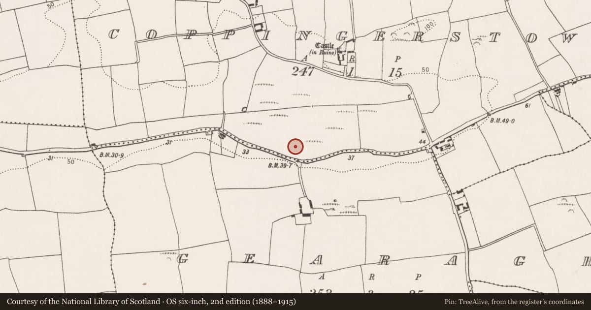 Ordnance Survey six-inch map, 2nd edition (1888–1915) covering the location of Burial, Coppingerstown, County Cork, with a pin at the register's coordinates