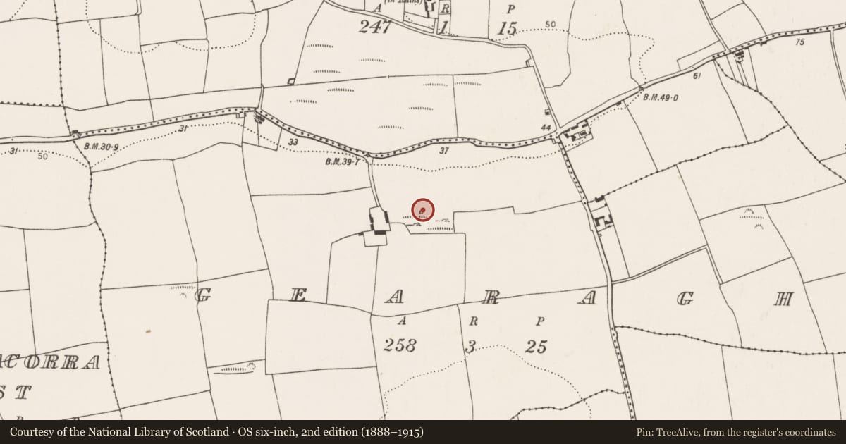 Ordnance Survey six-inch map, 2nd edition (1888–1915) covering the location of Kiln - lime, Gearagh, County Cork, with a pin at the register's coordinates