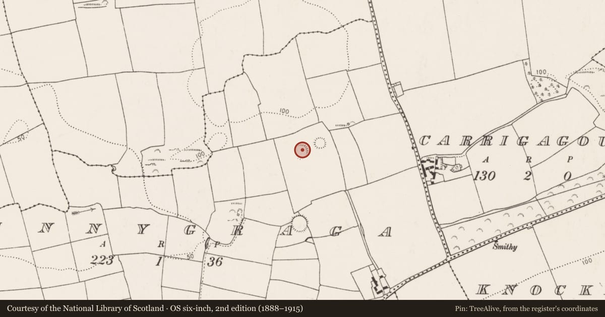 Ordnance Survey six-inch map, 2nd edition (1888–1915) covering the location of Ringfort - rath, Innygraga, County Cork, with a pin at the register's coordinates