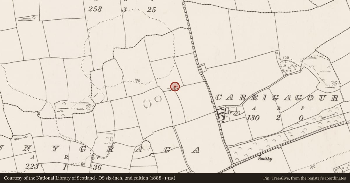 Ordnance Survey six-inch map, 2nd edition (1888–1915) covering the location of Kiln - lime, Innygraga, County Cork, with a pin at the register's coordinates