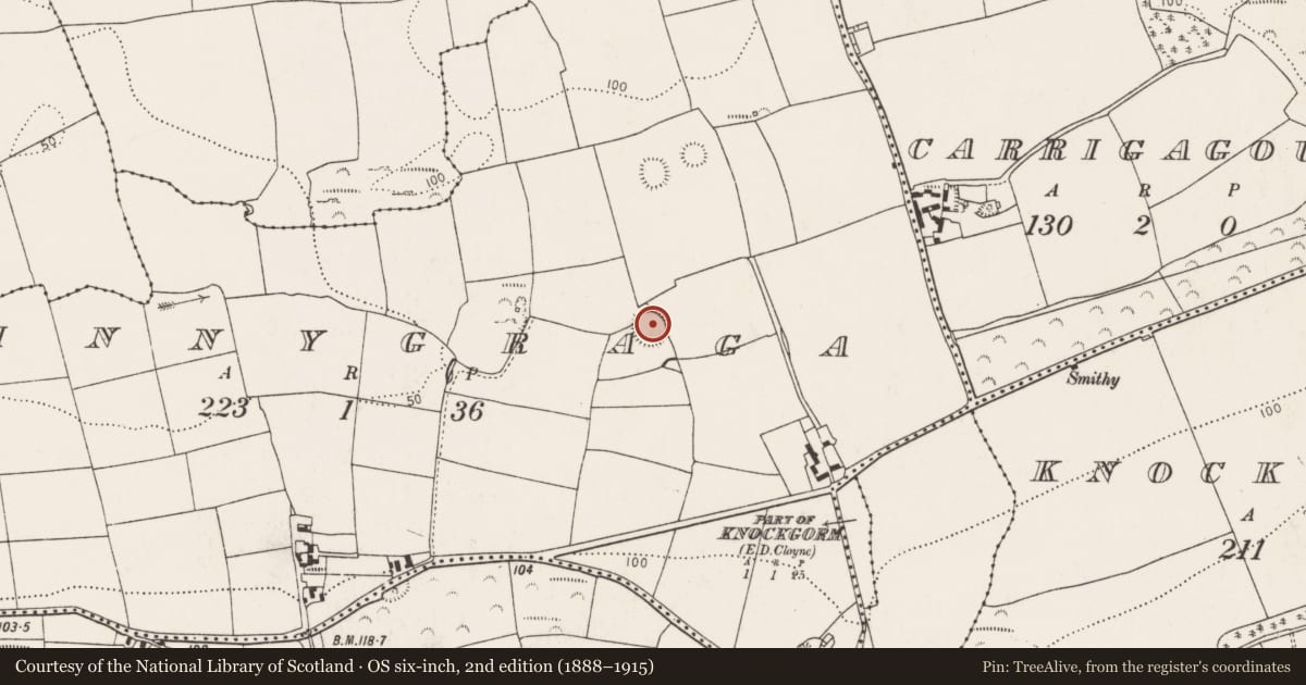 Ordnance Survey six-inch map, 2nd edition (1888–1915) covering the location of Ringfort - rath, Innygraga, County Cork, with a pin at the register's coordinates