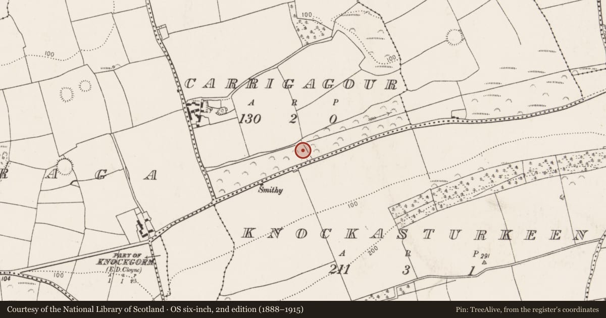 Ordnance Survey six-inch map, 2nd edition (1888–1915) covering the location of Fulacht fia, Carrigagour, County Cork, with a pin at the register's coordinates